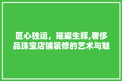 匠心独运，璀璨生辉,奢侈品珠宝店铺装修的艺术与魅力