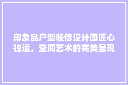 印象品户型装修设计图匠心独运，空间艺术的完美呈现