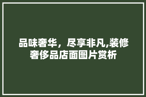 品味奢华，尽享非凡,装修奢侈品店面图片赏析