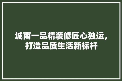 城南一品精装修匠心独运，打造品质生活新标杆
