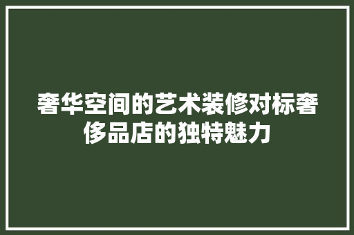 奢华空间的艺术装修对标奢侈品店的独特魅力