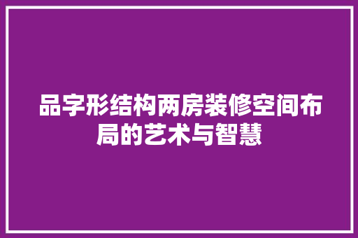 品字形结构两房装修空间布局的艺术与智慧