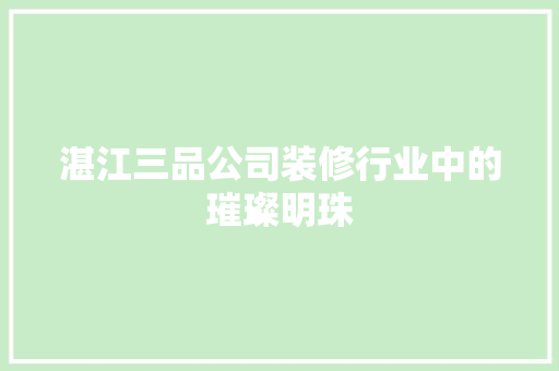 湛江三品公司装修行业中的璀璨明珠