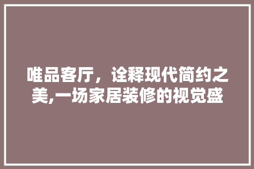 唯品客厅，诠释现代简约之美,一场家居装修的视觉盛宴