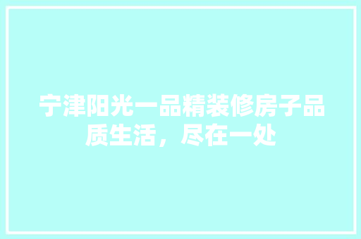 宁津阳光一品精装修房子品质生活，尽在一处