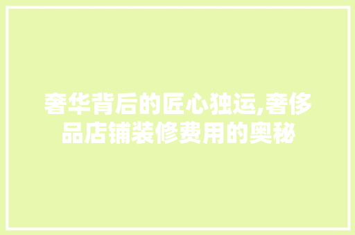 奢华背后的匠心独运,奢侈品店铺装修费用的奥秘
