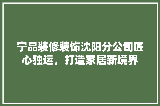 宁品装修装饰沈阳分公司匠心独运，打造家居新境界