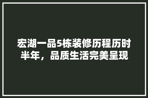 宏湖一品5栋装修历程历时半年，品质生活完美呈现