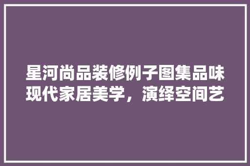 星河尚品装修例子图集品味现代家居美学，演绎空间艺术