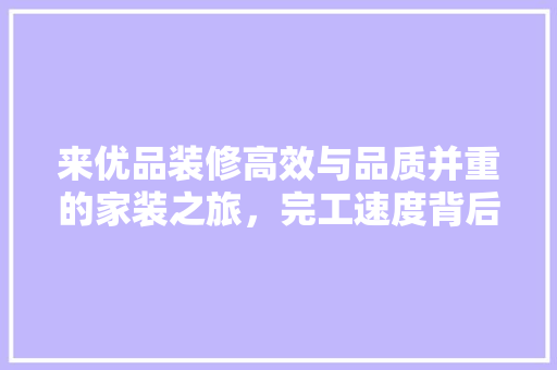 来优品装修高效与品质并重的家装之旅，完工速度背后的秘密