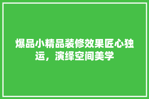 爆品小精品装修效果匠心独运，演绎空间美学