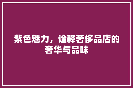 紫色魅力，诠释奢侈品店的奢华与品味