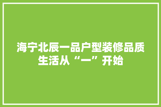 海宁北辰一品户型装修品质生活从“一”开始