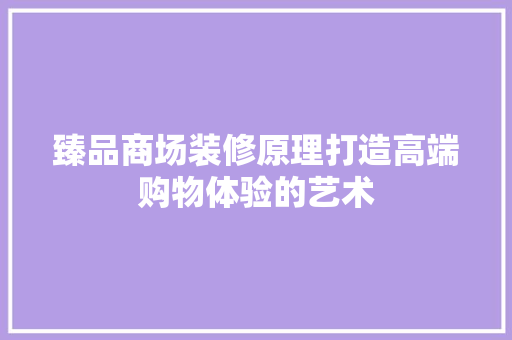 臻品商场装修原理打造高端购物体验的艺术