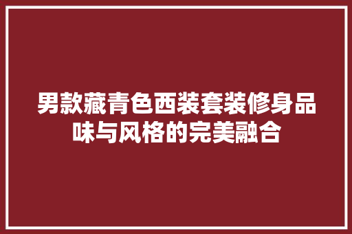 男款藏青色西装套装修身品味与风格的完美融合