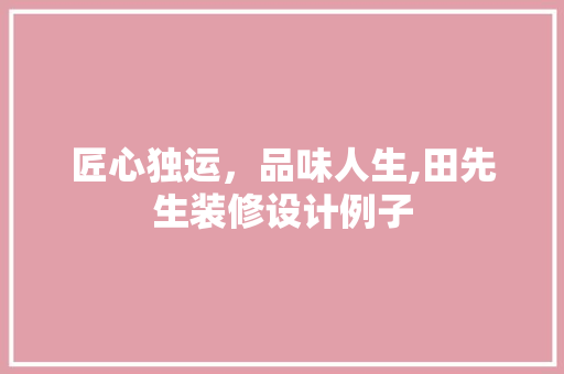 匠心独运，品味人生,田先生装修设计例子
