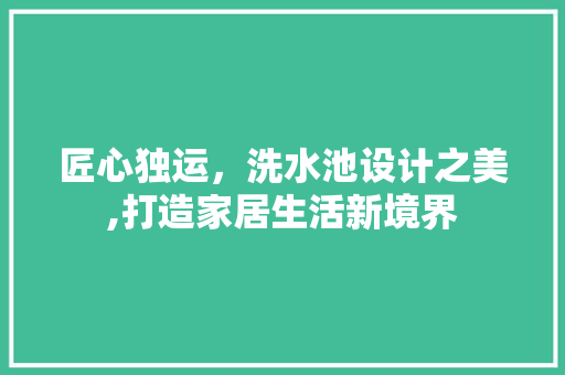 匠心独运，洗水池设计之美,打造家居生活新境界