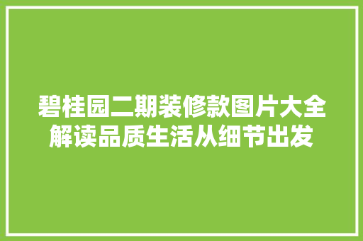 碧桂园二期装修款图片大全解读品质生活从细节出发