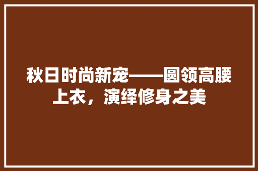 秋日时尚新宠——圆领高腰上衣，演绎修身之美