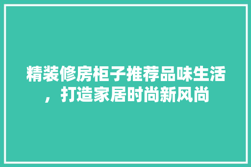 精装修房柜子推荐品味生活，打造家居时尚新风尚