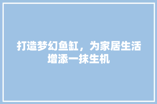打造梦幻鱼缸，为家居生活增添一抹生机