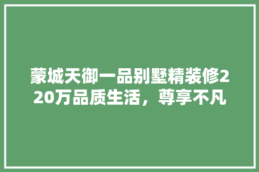 蒙城天御一品别墅精装修220万品质生活，尊享不凡