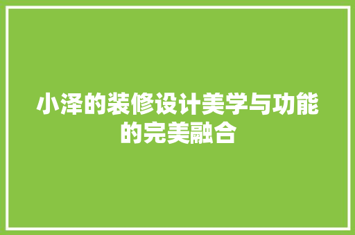 小泽的装修设计美学与功能的完美融合