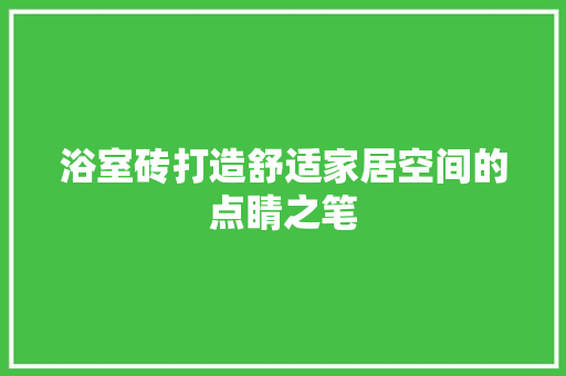 浴室砖打造舒适家居空间的点睛之笔