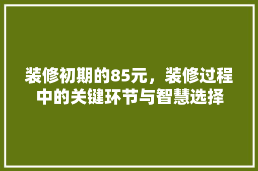 装修初期的85元，装修过程中的关键环节与智慧选择