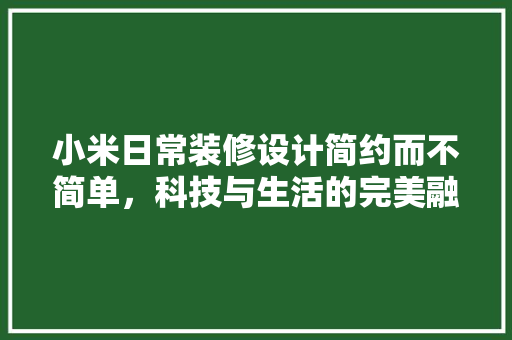 小米日常装修设计简约而不简单，科技与生活的完美融合