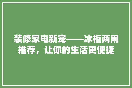 装修家电新宠——冰柜两用推荐，让你的生活更便捷