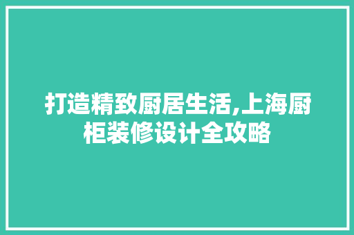 打造精致厨居生活,上海厨柜装修设计全攻略
