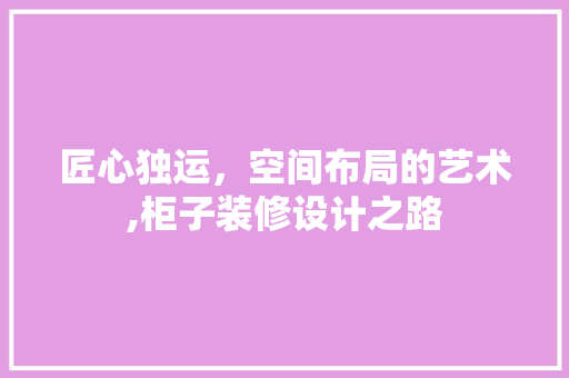 匠心独运，空间布局的艺术,柜子装修设计之路