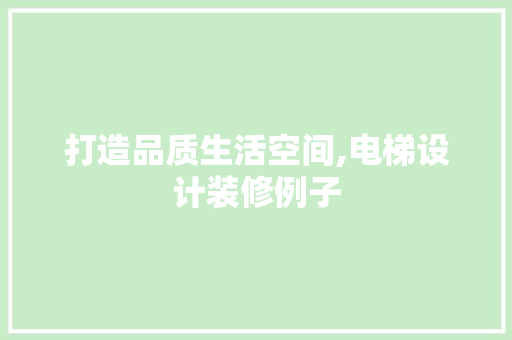 打造品质生活空间,电梯设计装修例子