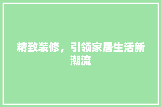 精致装修，引领家居生活新潮流