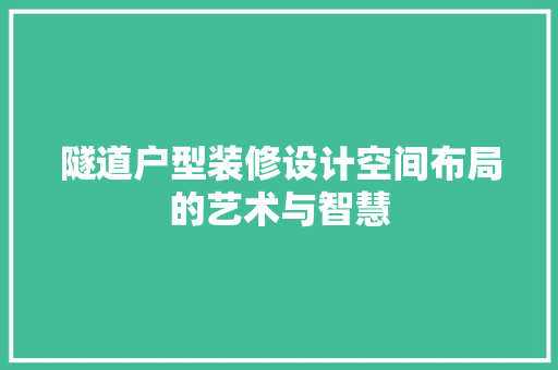 隧道户型装修设计空间布局的艺术与智慧