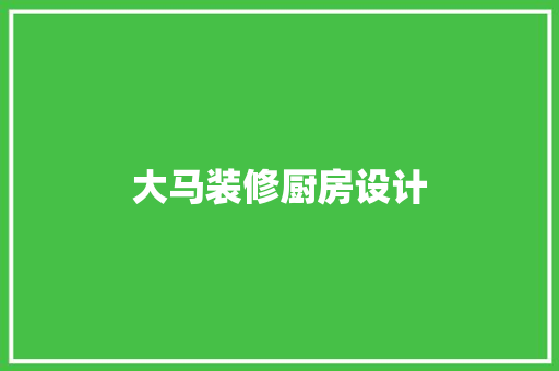 大马装修厨房设计