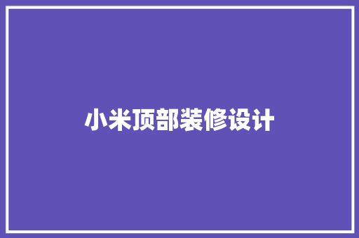 小米顶部装修设计