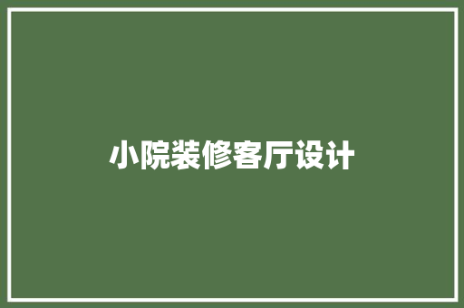 小院装修客厅设计
