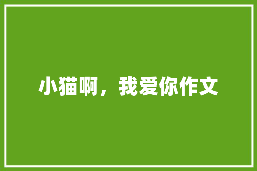 乌市装修设计阿杜