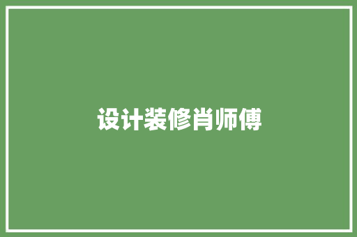 设计装修肖师傅