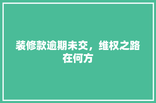 装修款逾期未交，维权之路在何方