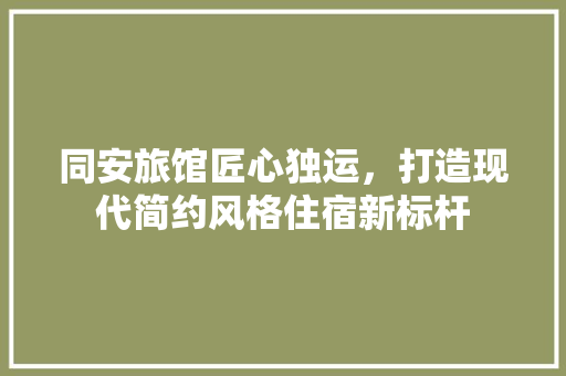 同安旅馆匠心独运，打造现代简约风格住宿新标杆