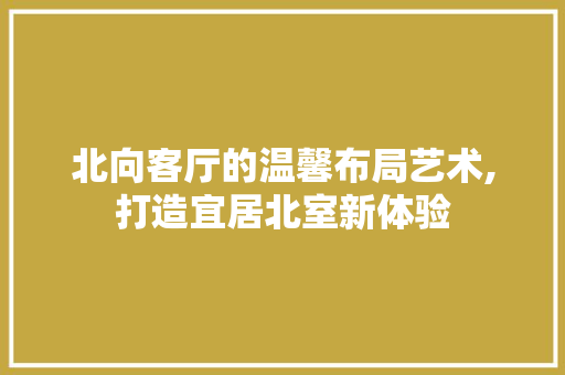 北向客厅的温馨布局艺术,打造宜居北室新体验