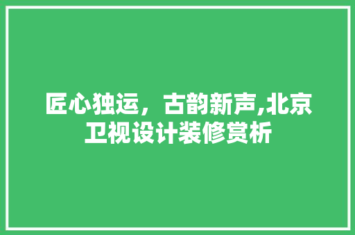匠心独运，古韵新声,北京卫视设计装修赏析