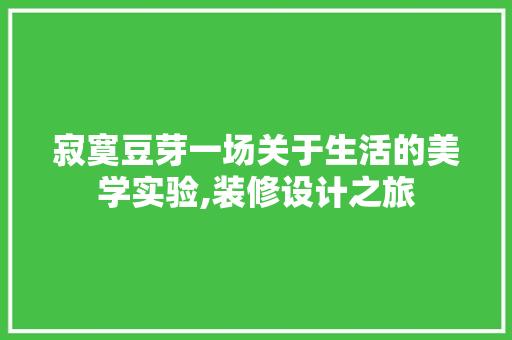 寂寞豆芽一场关于生活的美学实验,装修设计之旅