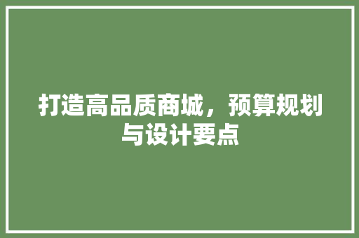 打造高品质商城，预算规划与设计要点