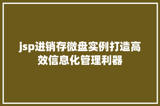 jsp进销存微盘实例打造高效信息化管理利器