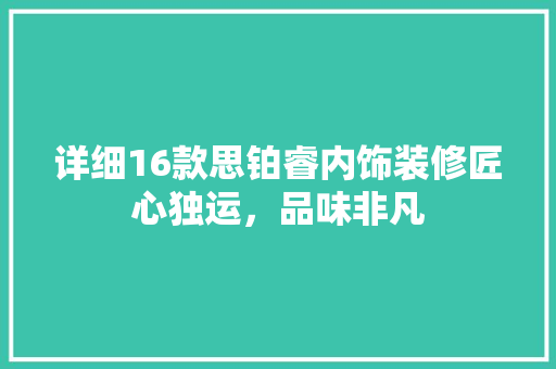 详细16款思铂睿内饰装修匠心独运，品味非凡