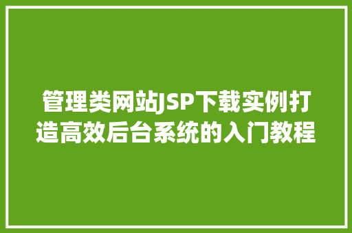 管理类网站JSP下载实例打造高效后台系统的入门教程